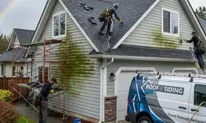 Seattle, WA roof repair service for wind, rain, and moss damage on a vinyl siding website